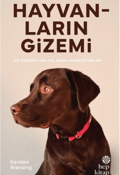 Hayvanların Gizemi Hayvanların Gizemi