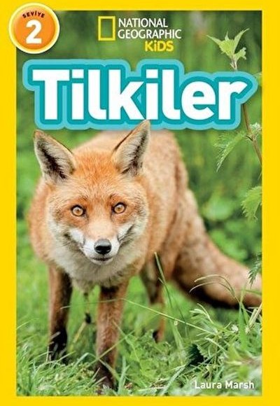Tilkiler - Seviye 2 Tilkiler - Seviye 2