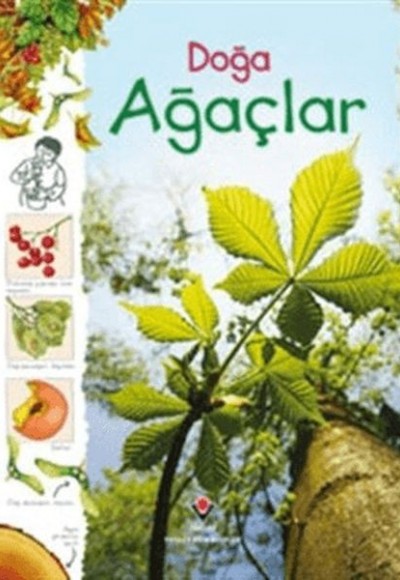 Doğa - Ağaçlar Doğa - Ağaçlar