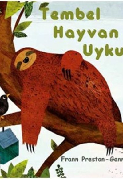 Tembel Hayvan Uykuda Tembel Hayvan Uykuda