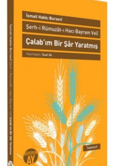 Şerh-i Rümuzat-ı Hacı Bayram Veli Çalab'ım Bir Şar Yaratmış Şerh-i Rümuzat-ı Hacı Bayram Veli Çalab'ım Bir Şar Yaratmış