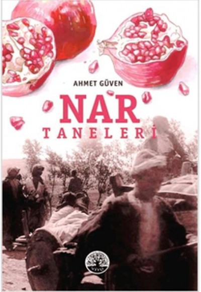 Nar Taneleri Nar Taneleri