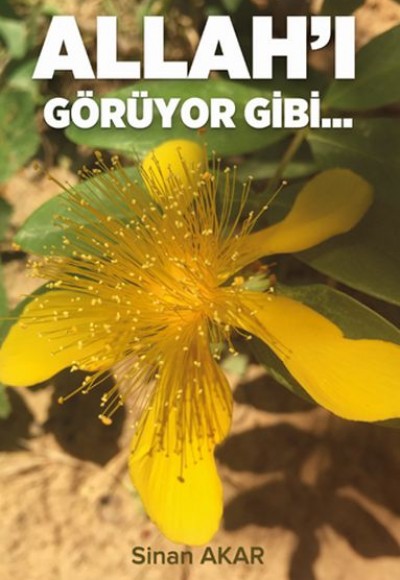 Allah'ı Görüyor Gibi... Allah'ı Görüyor Gibi...