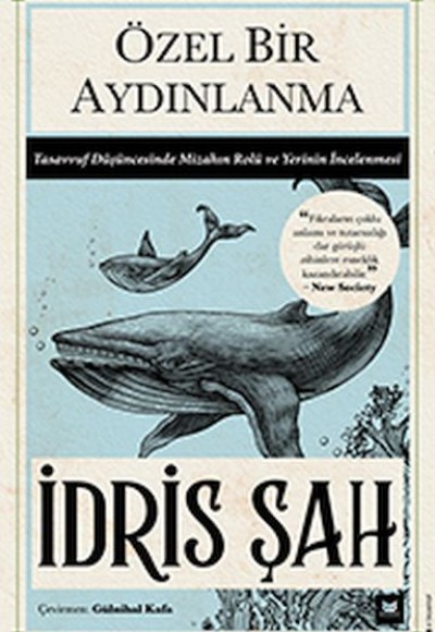 Özel Bir Aydınlanma Özel Bir Aydınlanma