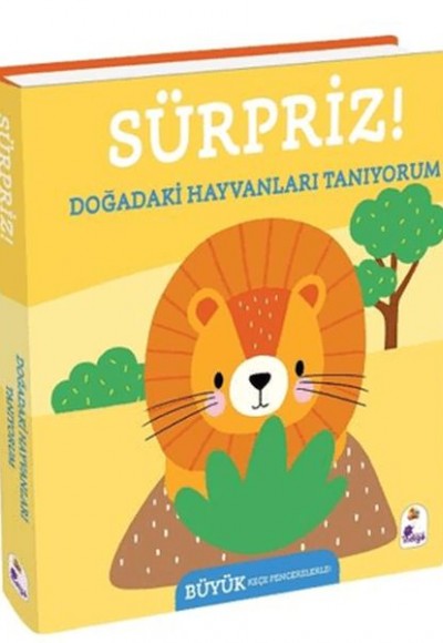 Sürpriz! - Doğadaki Hayvanları Tanıyorum Sürpriz! - Doğadaki Hayvanları Tanıyorum