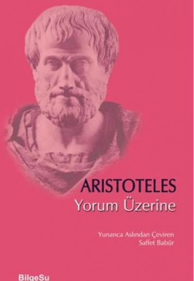 Yorum Üzerine Yorum Üzerine