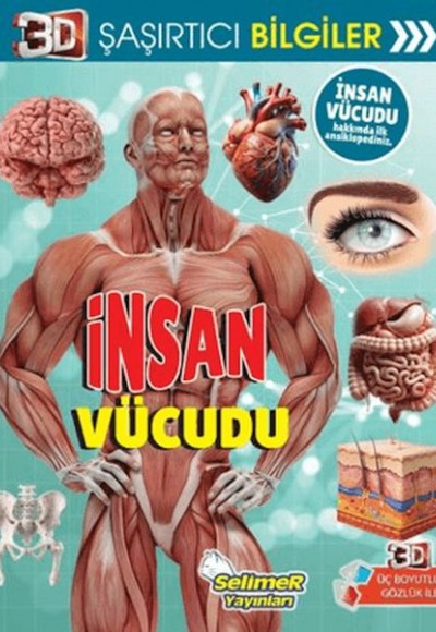3D Şaşırtıcı Bilgiler - İnsan Vücudu 3D Şaşırtıcı Bilgiler - İnsan Vücudu