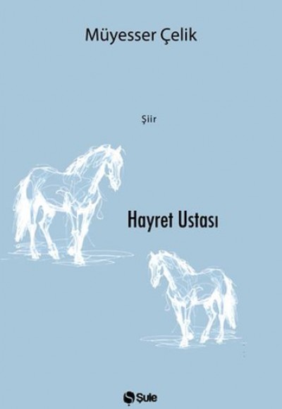 Hayret Ustası