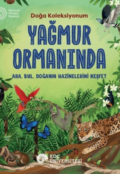 Yağmur Ormanında Yağmur Ormanında