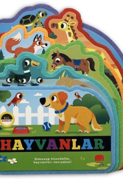 Bul Bakalım Hayvanlar Bul Bakalım Hayvanlar