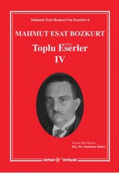 Mahmut Esat Bozkurt Toplu Eserler - 4 Mahmut Esat Bozkurt Toplu Eserler - 4