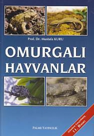 Omurgalı Hayvanlar Omurgalı Hayvanlar