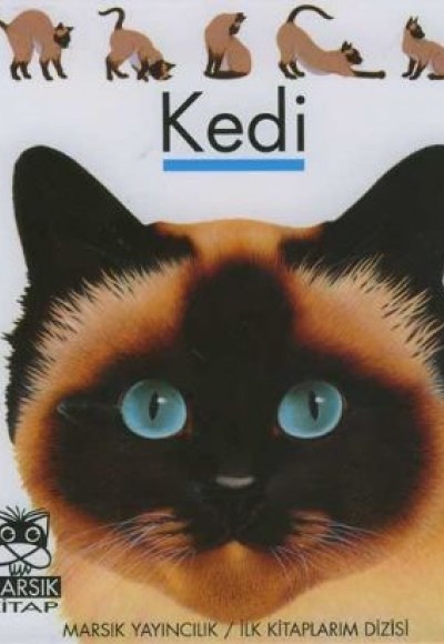 Kedi / İlk Kitaplarım Dizisi